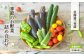 《令和7年分》数量限定！季節のお野菜詰め合わせ 夏(配送時期：7月～8月)