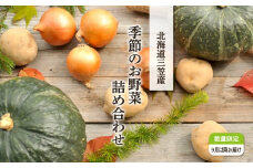 《令和7年分》数量限定！季節のお野菜詰め合わせ 秋(配送時期：9月～10月)【01018】