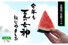 《2025年分受付中》『夏の女神』種が少なくて甘い黒皮スイカ1玉入（中玉4～6kg）【01005】