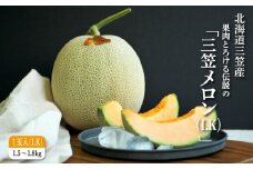 《2025年分受付中！6月中旬ごろ締め切り》大玉！ジューシーな果肉のI.Kメロン1玉【01003】