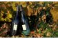 三國シェフ推奨！山崎ワイン(赤・白２本セット)各750ml