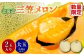 【SDGs】《2025年分受付中》大玉！とろける食感の北海道三笠メロン2玉入(3.2kg以上)