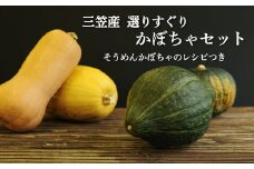 《令和6年分》数量限定！三笠市産 選りすぐり かぼちゃセット(配送時期：10月上旬～11月末頃)【01145】 