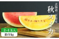 《2025年分受付中》秋に収穫される赤色スイカor黄色スイカ2～4玉(約9kg)【01149】