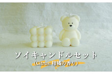 ソイキャンドルセット(Citrusの香り)大豆由来で環境にも優しい！≪配送時期：3月～6月、9月～12月≫【35002】
