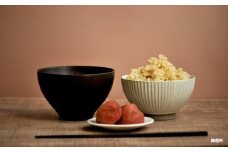 ＜令和7年度産＞玄米で健康促進！『定期便6回』北海道産ゆめぴりか10kg《令和７年10月頃より発送予定》｜ ふるさと納税 北海道 三笠 米 お米 玄米 北海道米 ブランド米 ご飯 ごはん お取り寄せ ワンストップ マイページ  三笠応援米クラブ 三笠市【3900702】