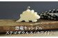 恐竜キャンドル・ステゴザウルス(ホワイト)【38003】