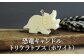 恐竜キャンドル・トリケラトプス(ホワイト)【38005】