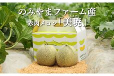 《2025年分受付中》≪数量限定！≫のみやまファームの赤肉メロン「美暁」（各1.6kg以上を2玉）【01167】