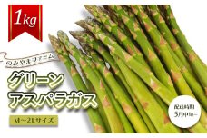 【先行受付】のみやまファームのグリーンアスパラガス（Ｍ～２L以上）1kg＜受付2025年8月上旬まで＞【05004】