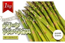 【先行受付】のみやまファームのグリーンアスパラガス（Ｍ～２L以上）1kg【05004】