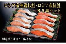 C-41004 紅鮭・沖獲れ鮭切身セット(各5切)