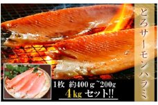 B-09013 とろサーモンハラミ4kg