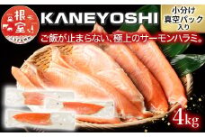 B-09013 とろサーモンハラミ4kg