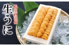 B-71019 エゾバフンウニ130g×1折[11月中旬以降発送]