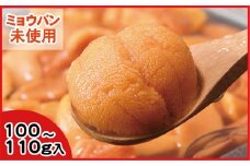 C-56019 エゾバフンウニ(黄色)塩水パック100～110g×1P