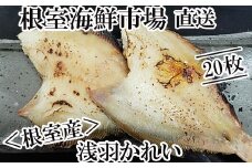 A-14063  【北海道根室産】一夜干し浅羽かれい20枚