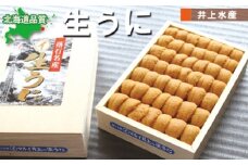 C-71002 ムラサキウニ250g×1折[7月上旬以降発送]