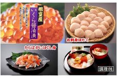 C-01001 【北海道根室産】根室水揚げ海鮮丼セット
