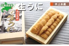 D-71002 ムラサキウニ130g×4折[7月中旬以降発送]