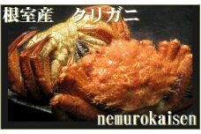 A-57018 【北海道根室産】クリガニ計2kg詰め合わせ(チルド便)