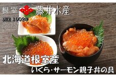 D-42044 【北海道根室産】＜鮭匠ふじい＞いくら・サーモン親子丼の具