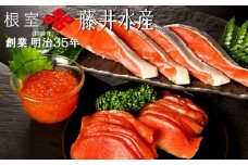 D-42007 ＜鮭匠ふじい＞鮭味覚尽くし