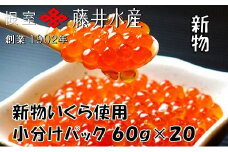 D-42055 【北海道根室産】＜鮭匠ふじい＞いくら醤油漬60g×20P