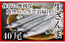 C-30002 【北海道根室産】さんま40尾