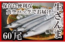 D-30002 【北海道根室産】さんま60尾