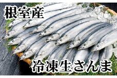 A-70003 【北海道根室産】さんま20尾