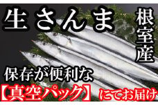 D-36002 【北海道根室産】さんま60尾