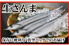 A-30003 【北海道根室産】冷凍さんま20尾入り