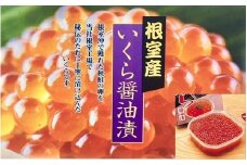 C-01061 【北海道根室産】いくら醤油漬け500g
