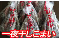 A-70012 【北海道根室産】一夜干しこまい200g×10袋