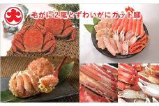 C-01008 毛がに2尾とずわいがにカット脚(棒肉・肩肉・爪肉)