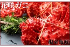 A-57021 【北海道根室産】花咲ガニ3～4尾(計1.3kg前後)