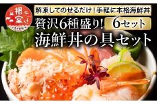 B-10008 海鮮丼の具(6種盛り)×6セット