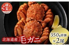 A-21001 浜ゆで毛がに350g前後×2尾 ふるさと納税 北海道 根室 ボイル 毛ガニ カニ 蟹 かに 海鮮 人気