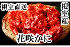 C-36005 【北海道根室産】花咲かに300g～450g前後×6尾