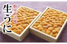 D-40005  エゾバフンウニバラ詰め250g×2枚[2026年3月上旬以降発送]