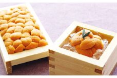 E-40010 エゾバフンウニ100g×5折[11月上旬以降発送]