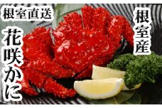 C-30005 【北海道根室産】花咲かに300～450g前後×6尾