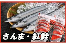 C-30015 甘塩紅鮭5切×4P、生さんま5尾×4Pセット