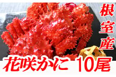 D-70007 【北海道根室産】花咲かに400～600g×10尾