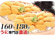 A-06001  ムラサキウニ80g～90g×2P