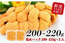 B-81007   ムラサキウニ塩水パック100～110g×2P
