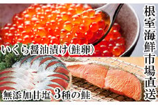 A-14096  無添加天然甘塩鮭3種各5切、いくら醤油漬け(鮭卵)70g×1P