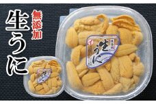 B-40028 ムラサキウニ塩水パック100～110g×2P[7月上旬以降発送]