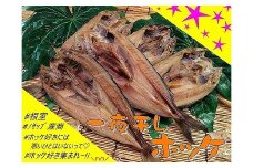 B-59005 【北海道根室産】一夜干しホッケ5枚